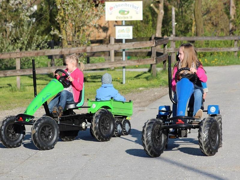 Schneiderhof Urlaub Auf Dem Bauernhof Villa Bernau am Chiemsee Esterno foto